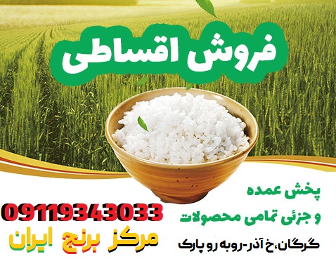 خرید عمده برنج ایرانی هندی تایلندی پاکستانی و قیمت امروز برنج و فروش عمده برنج 1401