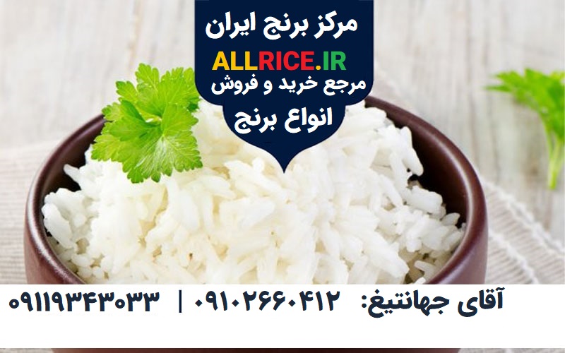 خرید برنج فجر|قیمت امروز برنج ایرانی و خارجی|تخفیف 10%