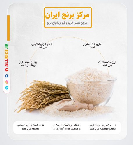 فروش برنج فجر گیلان