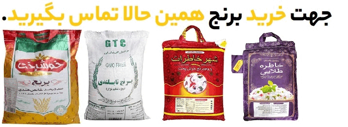 صادرات برنج فجر و 3 ترفند صادراتی برنج فجر