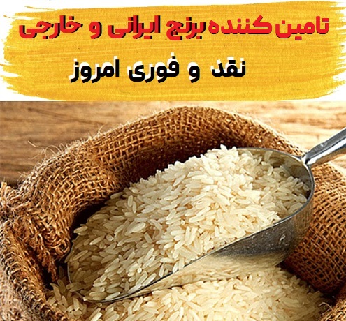 تامین کننده برنج فجر هاشمی طارم عنبر بو برنج هندی پاکستانی تایلندی