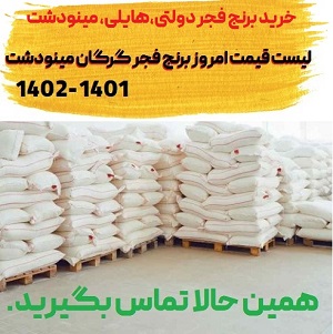 خرید برنج فجر دولتی،هایلی، مینودشت و گرگان و قیمت امروز برنج 1401