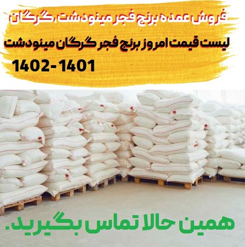 فروش عمده برنج فجر گرگان مینودشت و قیمت امروز برنج فجر 1401