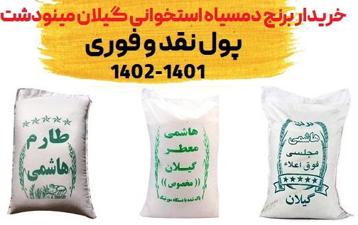 قیمت عمده برنج دمسیاه استخوانی گیلان مینودشت هاشمی 1401